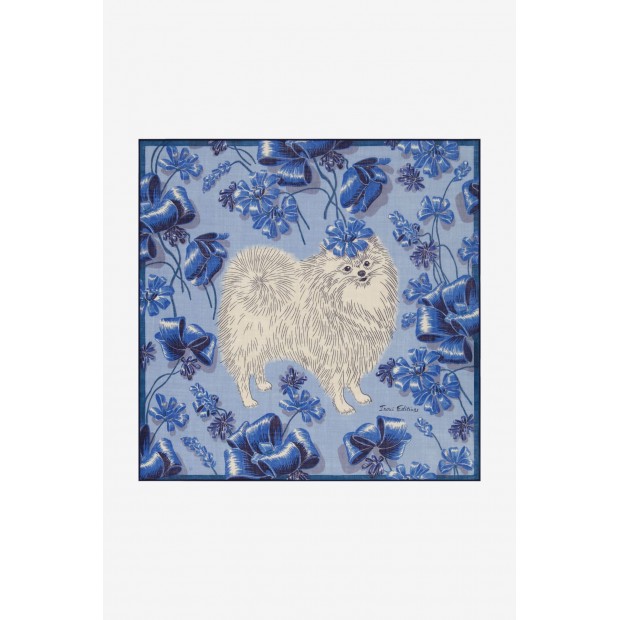 Inoui Editions vilnos skara TOUTOU BLUE