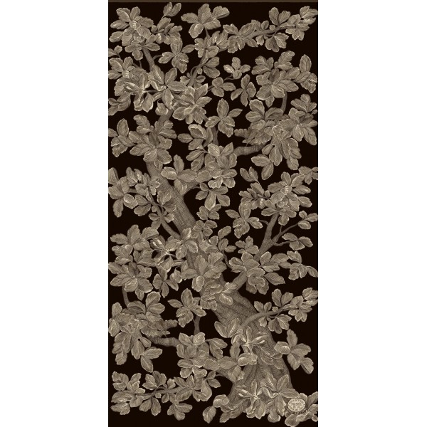 Inoui Editions vilnos skara ARBORIS BLACK