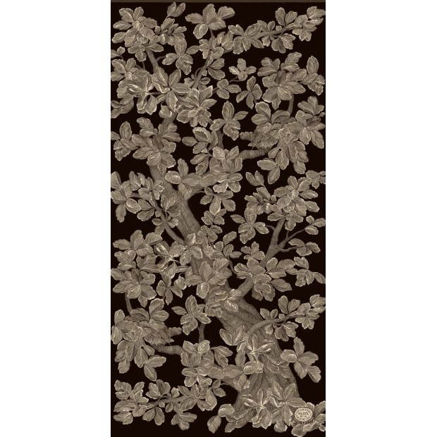 Inoui Editions vilnos skara ARBORIS BLACK