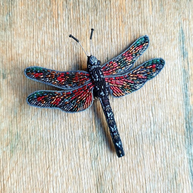 Trovelore sagė laumžirgis gelsvoji pantala