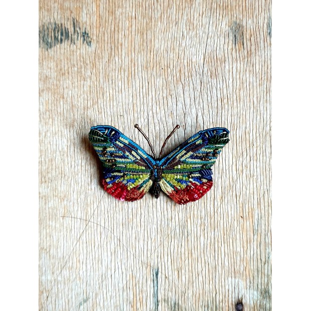 Trovelore sagė drugelis (Cepora nerissa)