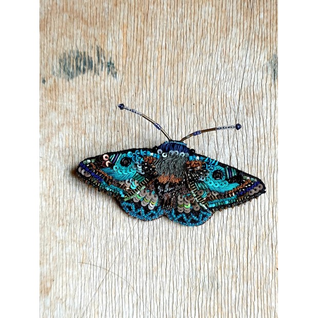 Trovelore sagė drugelis  (Donuca lanipes)