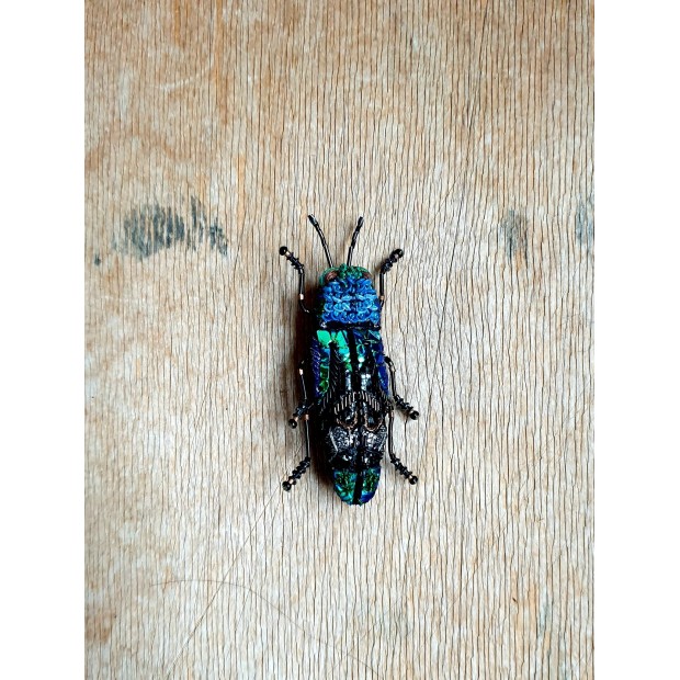 Trovelore sagė vabalas