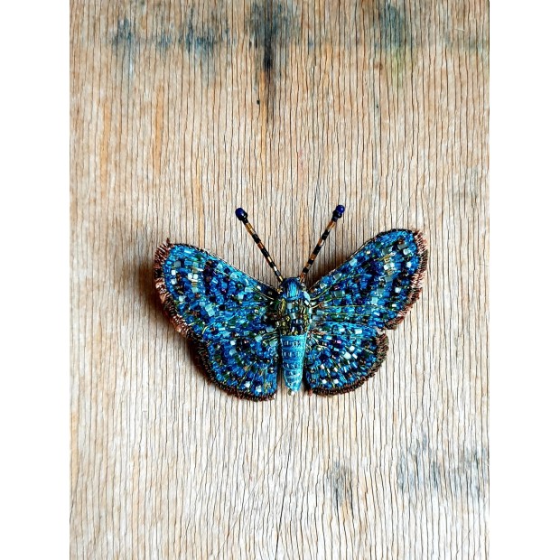 Trovelore sagė drugelis ( Calephelis perditalis )