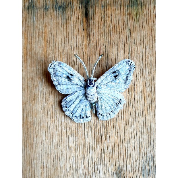 Trovelore sagė baltas drugelis ( Morpho polyphemus )