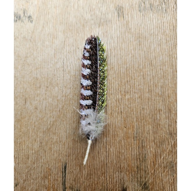 Trovelore sagė plunksna