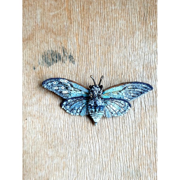 Trovelore sagė baltoji cikada