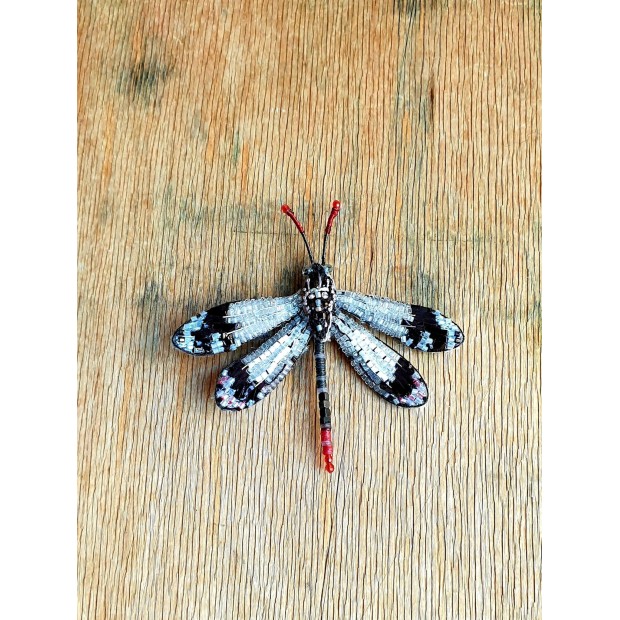 Trovelore sagė vabzdys (Glenurus gratus)