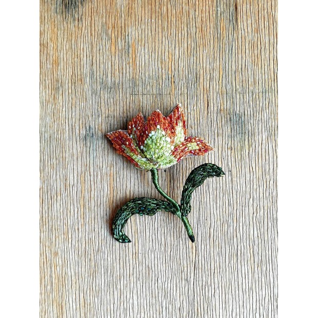 Trovelore sagė papūginė tulpė „Geltona-Raudona“ 