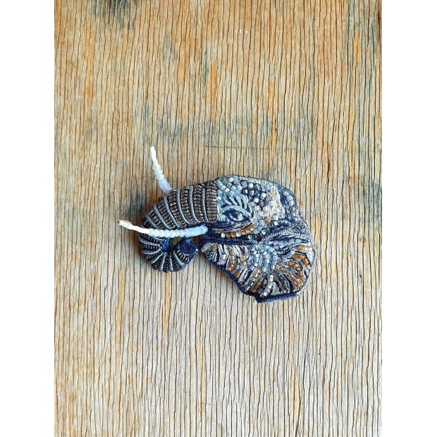 Trovelore sagė iltaakis dramblys (Elephantinae)