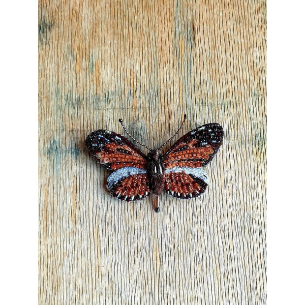 Trovelore sagė ilgasparnis drugelis „Isabela"