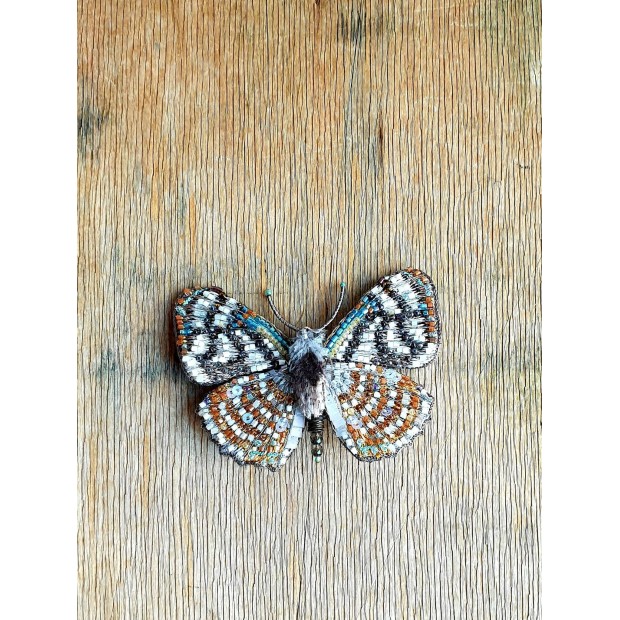 Trovelore sagė Racidula – jūrinis drugelis