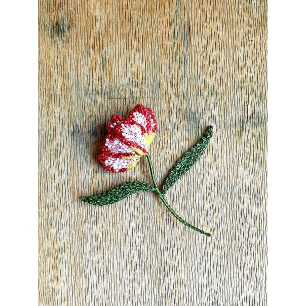 Trovelore sagė papūginė tulpė “Estella Rijnveld”