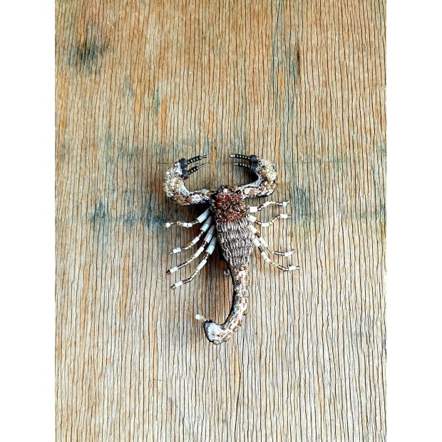 Trovelore sagė dykumos skorpionas