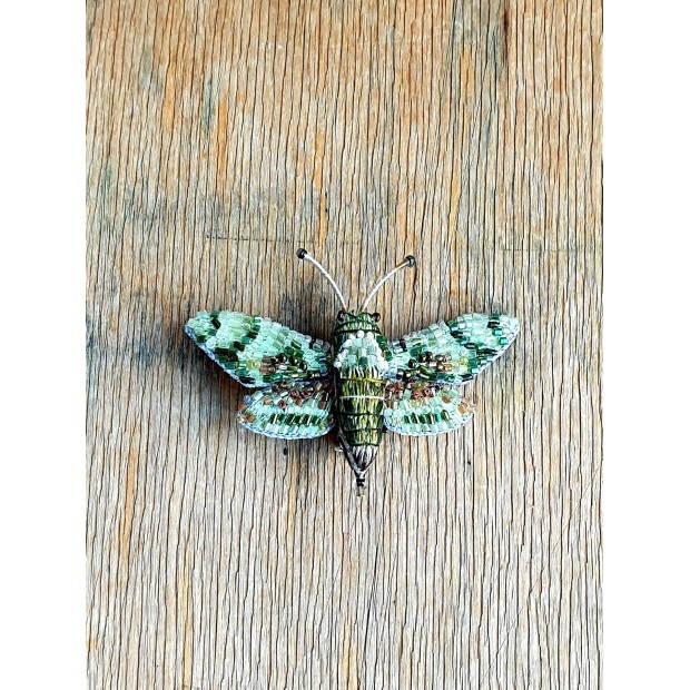 Trovelore sagė Vanagasparnis drugelis