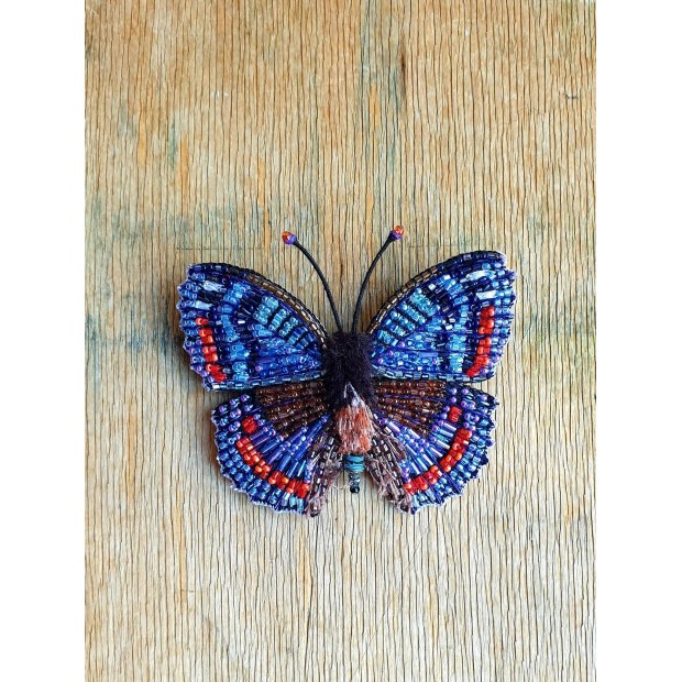 Trovelore sagė raudonaplekių admirolių drugelis (Nymphalidae)