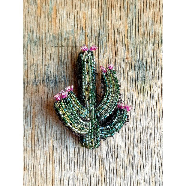 Trovelore sagė žydintis dykumos kaktusas